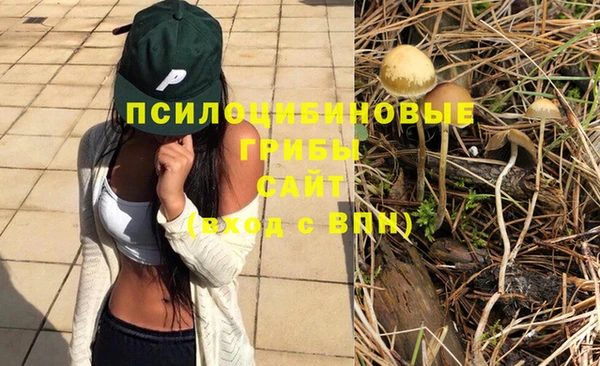 мескалин Абинск