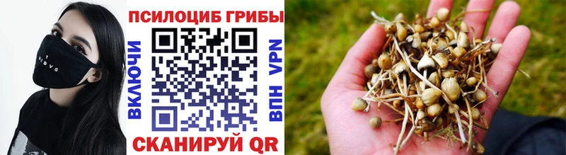 Галлюциногенные грибы GOLDEN TEACHER Советский